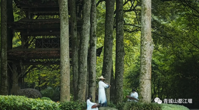 青城山旅游，青城山旅游图（赏千年银杏、观层林尽染、泡山间温泉......顶奢配置慢生活尽在青城山～）