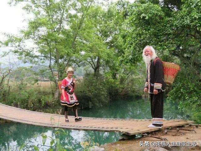 火麻油怎么吃，长寿之乡的饮食密码（什么是麻油）