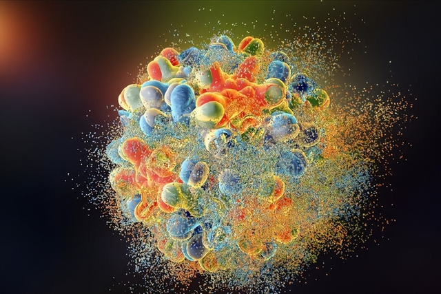 总蛋白偏低的原因，总蛋白偏低的原因有哪些（引起总蛋白下降的几种原因）