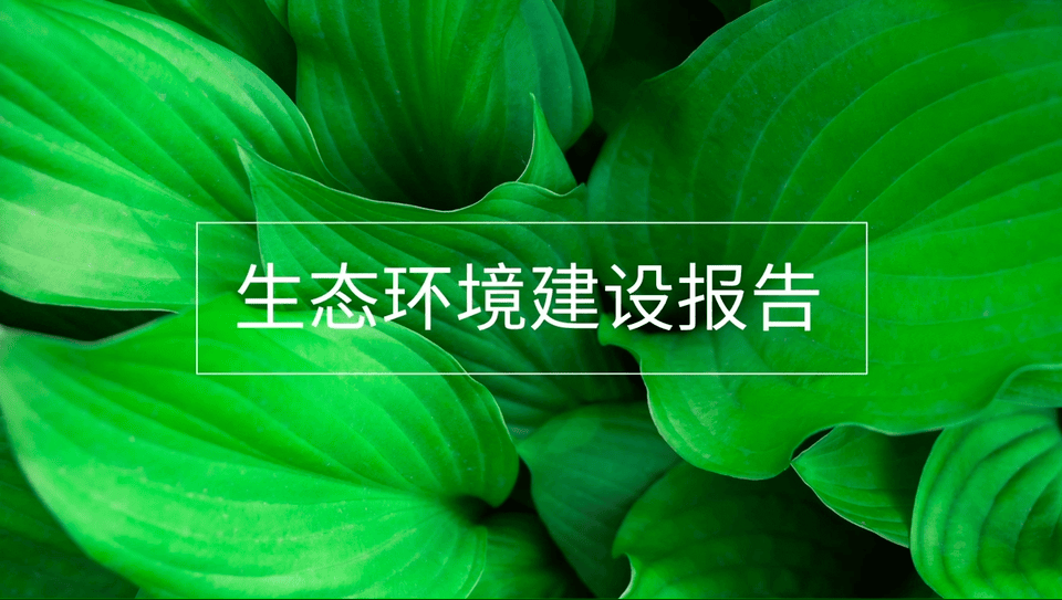 幻灯片主题如何设置，如何设置幻灯片版式（PPT不知道怎么排版）