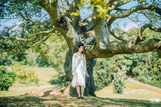 深圳旅游景点大全介绍，深圳的旅游景点有哪些地方（来深圳这10个地方玩吧）