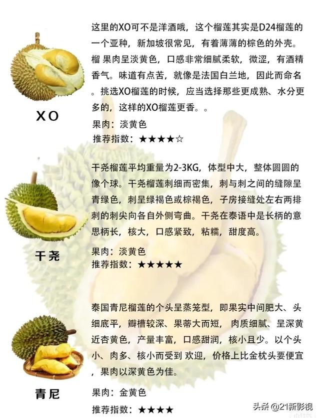 榴莲有什么品种，榴莲的品种有几种（榴莲品种大盘点）