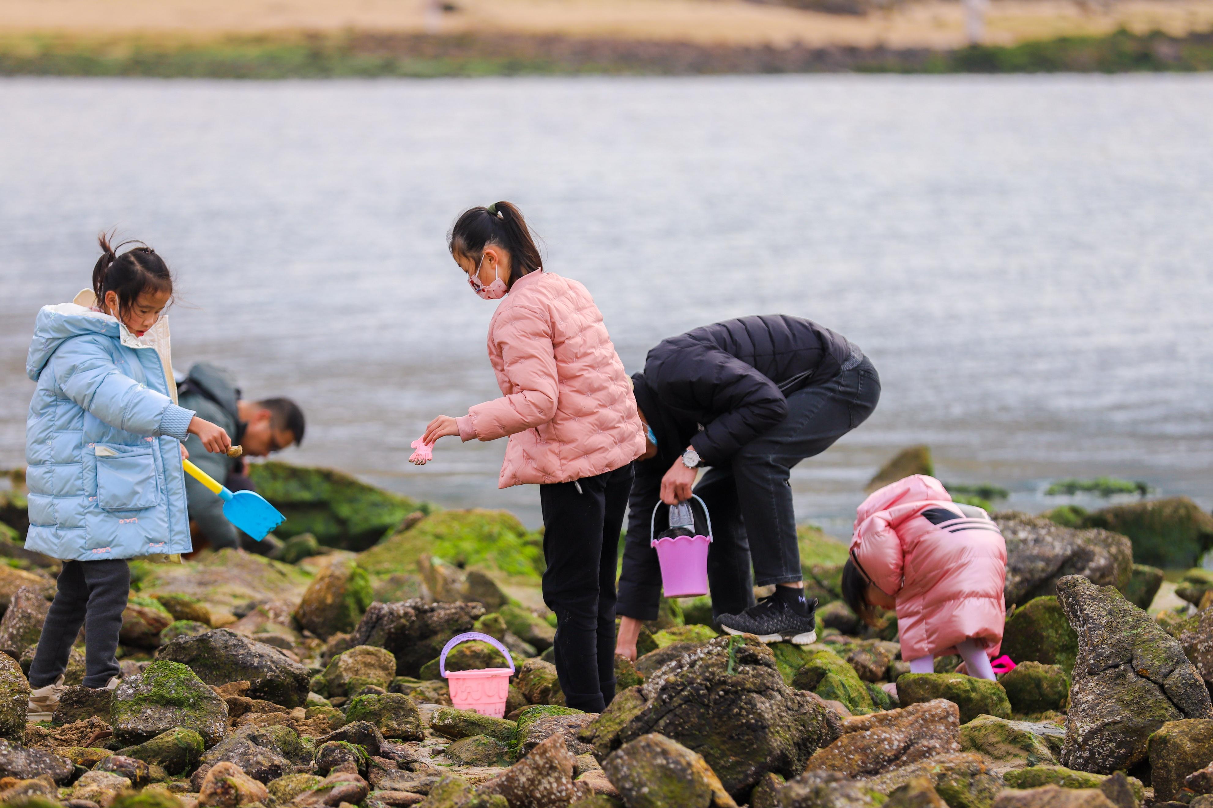 海陵岛最佳旅游季节(广东过大年) - 悦闻天下