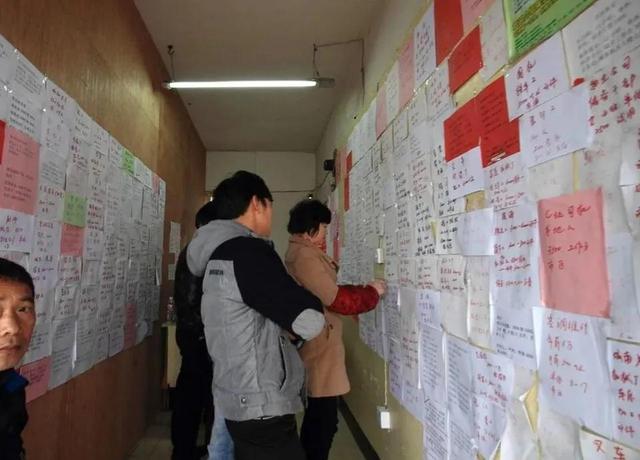 闯荡江湖电视剧全集免费观看，闯荡江湖的动物（第5章 闯荡江湖）