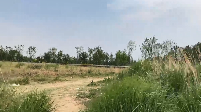 郑州一日游必去的地方，郑州景点排行榜（2022郑州夏季最值得去的六大景点推荐）