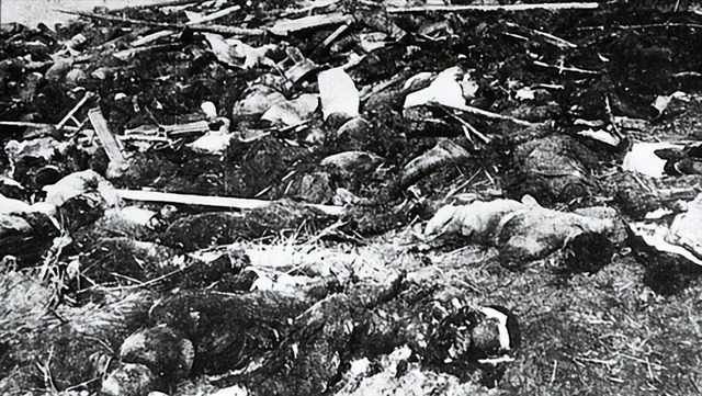 731事件是什么，日本731事件是什么（残忍的日本731部队）