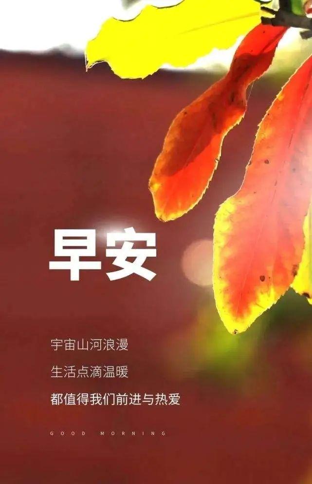 励志句子图片带字图片清晰(心情好的照片图片)-益写作