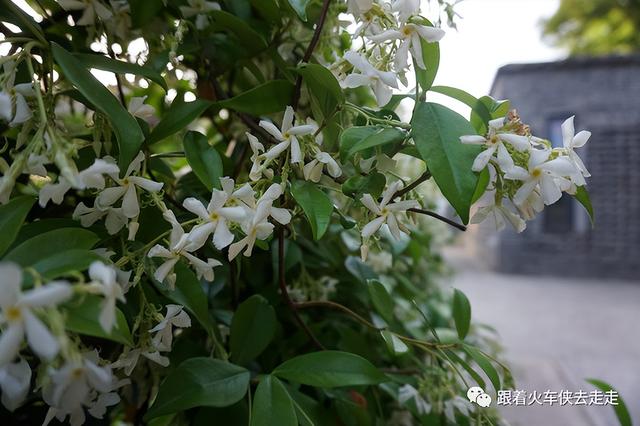 南京都有哪几个区，南京财经大学都有哪几个校区呀（南京人看南京——街区篇-T80园区）