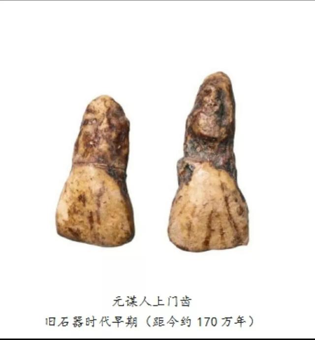 杨贤江的名言，杨贤江的名言青年的懒（中国大地教育的起源）