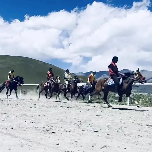 那达慕大会是哪个民族的节日，那达慕大会是什么族的（青海这里的那达慕大会）