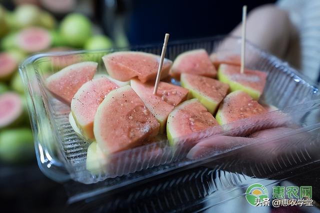 芭乐的正确食用方法，番石榴维生素c含量是多少