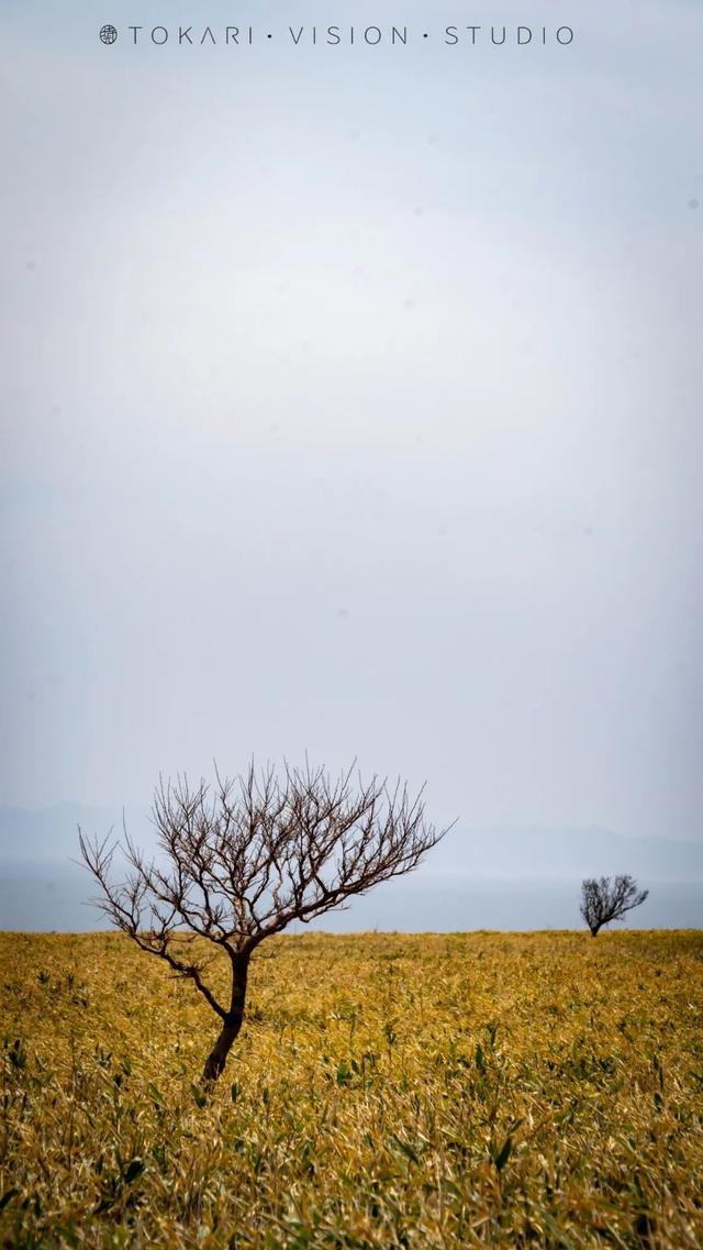 非诚勿扰2拍摄地点，三亚非诚勿扰2拍摄地（打卡《非诚勿扰》取景地——能取岬）