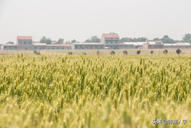 陕北是指哪些地方，陕北旅游必去十大景点（陕西的陕北、关中、陕南的区别）