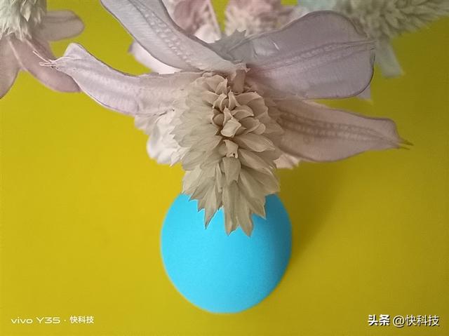 vivoy35是全网通的吗，Y35评测：解锁千元级新体验