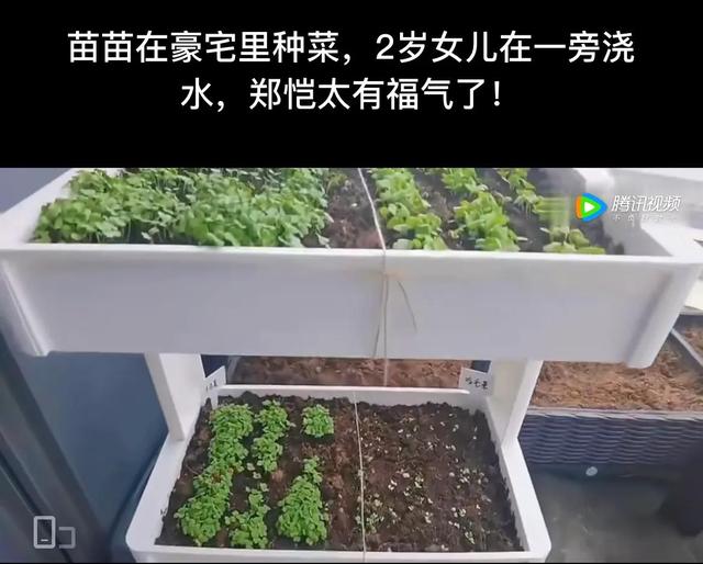 郑恺更喜欢苗苗还是程晓玥，郑恺综艺说出为何跟程晓玥分手