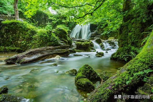 相机三要素，相机三要素公式（摄影曝光三要素解释）