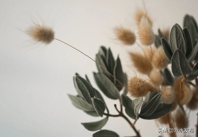 爱情小故事，爱情小故事睡前故事（中国古代八大爱情故事）