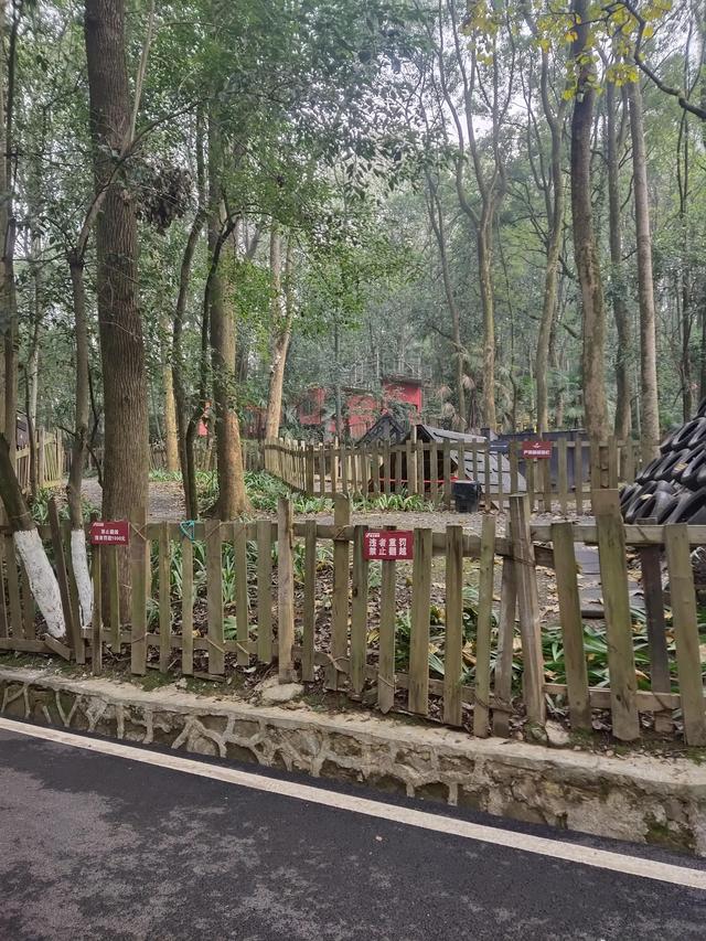 歌乐山森林公园，重庆旅游必去景点（歌乐山国家森林公园）