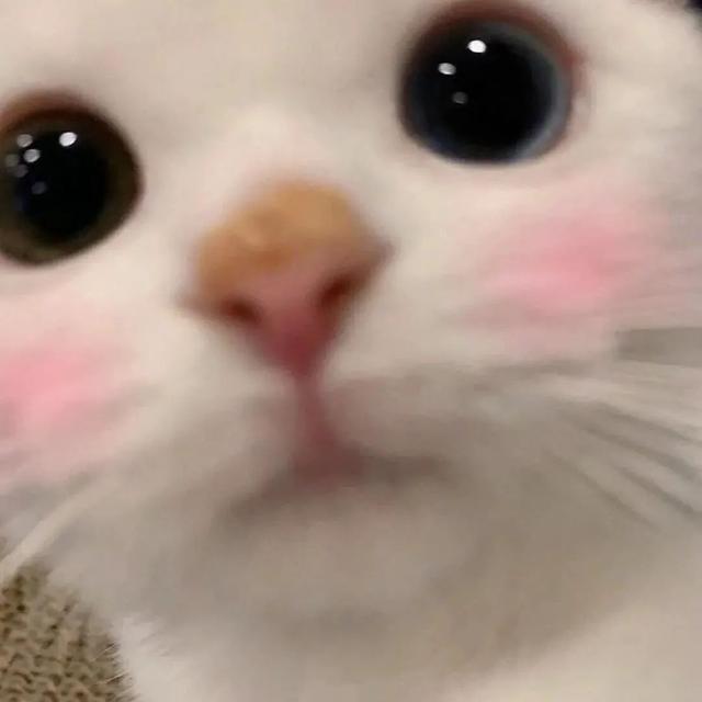 超甜的情侣头像，超级甜的情头微信（130张情侣、闺蜜头像）