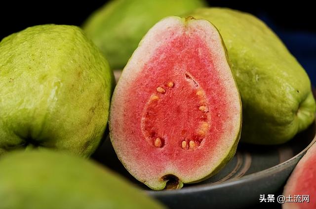 芭乐几月份成熟，芭乐成熟的季节是几月（和芭乐的区别是什么）