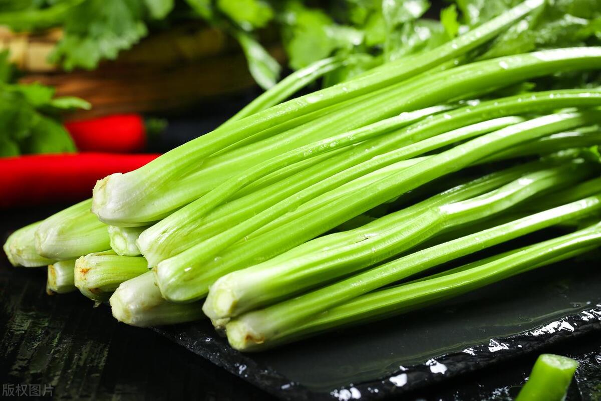 坐月子可以吃什么蔬菜(最适合夏天吃的5种蔬菜) - 乐宝宝贝