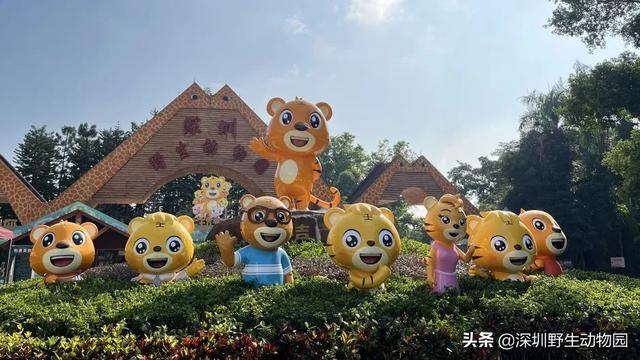 深圳世界之窗门票多少钱一张，深圳世界之窗晚上门票多少（动物园\u0026世界之窗/欢乐海岸水秀）