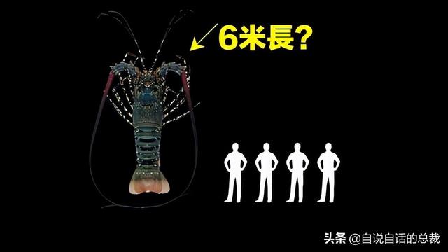 小龙虾属于海鲜类吗，小龙虾是海鲜吗（龙虾：从小龙虾到大花龙）