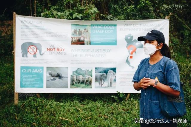 安纳塔拉度假会，阿布扎比安纳塔拉度假村（泰北，丛林野奢OR城市度假）