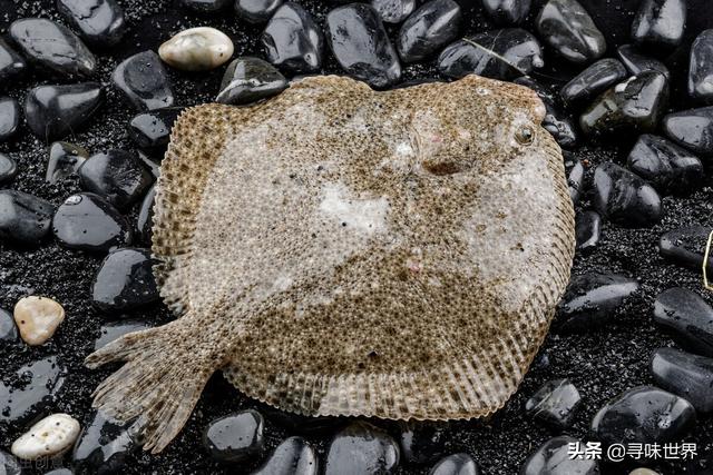 2,春夏季海魚9大排名來了,都是優質的海魚品種,貴點也值得品味