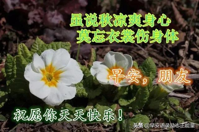 发自拍照的励志语录，适合发自拍照的句子正能量（早安励志正能量精辟短句子）