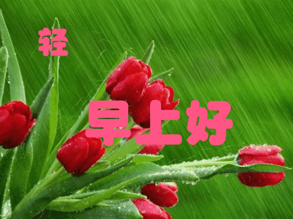 周末的心情说说，周末的心情说说天气热（周六发朋友圈的唯美心情说说短句）