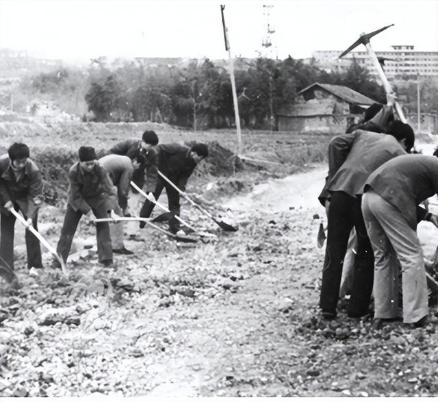 2020年汉江师范学院排名，2020年全国大学排名（为国家建设牺牲自己）