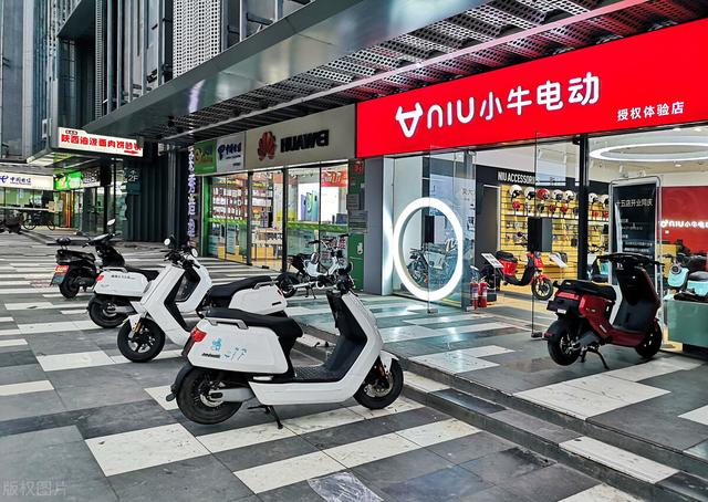 中国电动车十大品牌，中国电动车十大品牌排行榜（电动车“销量10强”）