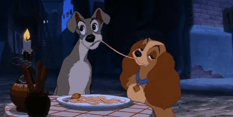 小狗的简单介绍，狗的介绍手抄报（狗狗也分高低贵贱）