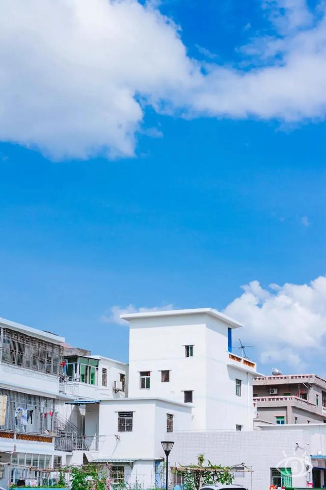 深圳一日游免费必去的地方，深圳最适合一日游的15个免费景点（深圳10个小众打卡地）