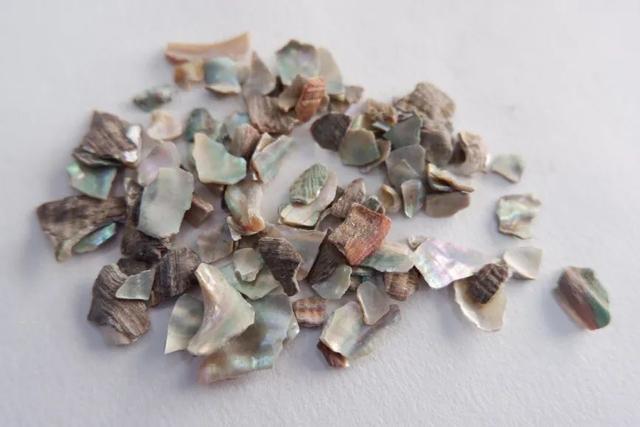 决明子是什么植物的种子，决明子泡水喝竟有6个害处（这3对名称相似的中药）