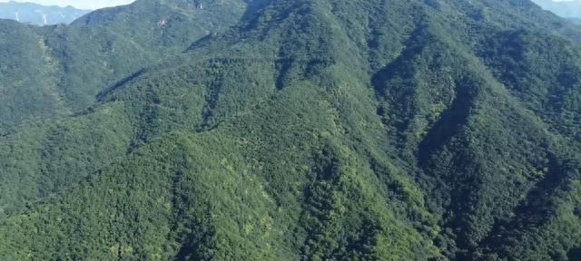 历山行记