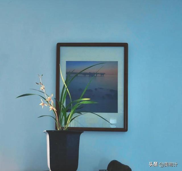 空谷幽兰的意思，空谷幽兰是什么意思（幽兰，清雅）