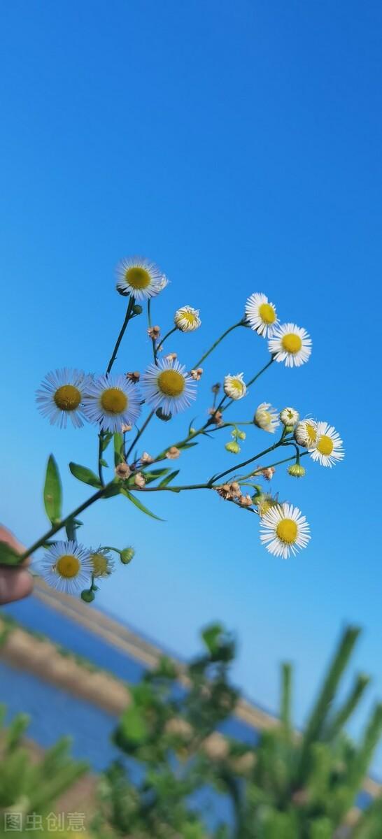 5月20对老公说的话，对老公说的话（致明天的520…给我老公）