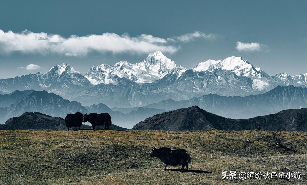 雅安有什么好玩的地方（雅安自驾游旅游景点)