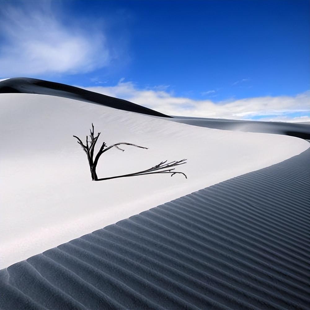 唯美头像(微信头像简约清新唯美风景图片) - 赤虎壹号