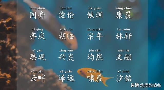 楠字取名有什么寓意，怎样起一个富贵吉祥的名字