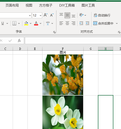 表格行高怎么统一调整，excel怎么统一调整行高（Excel如何批量将图片按比例扩大）