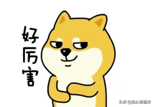 好听的西域风格的名字，以西域为主题的四字网名（你们新疆人名字都这么长吗）