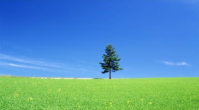 注册公司名字带鑫，取个带鑫的公司名字（金字旁的名字）