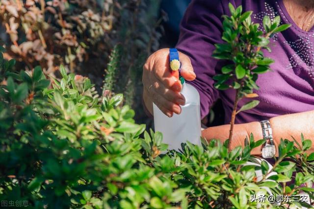 过期牛奶千万别扔11种用途，过期酸奶可以做什么用（一支牛奶胜过两斤化肥）