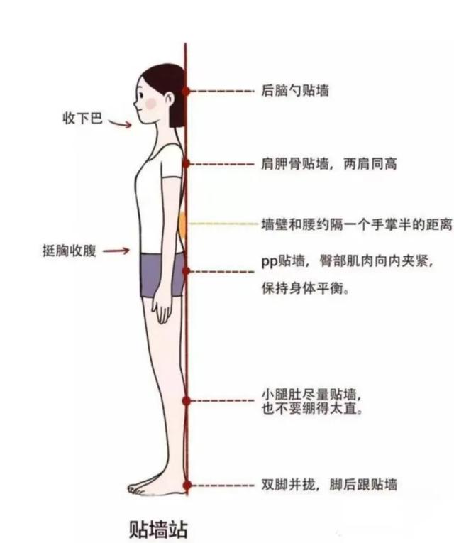 如何用手机测量距离，怎样用手机软件测量与远方物体的距离（没有尺子，如何测量身高）