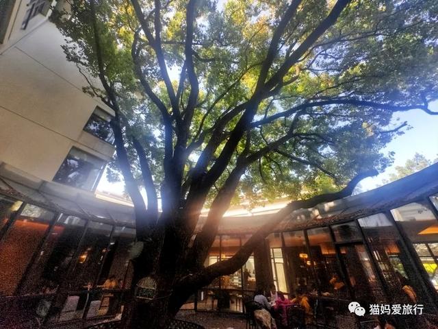 苏州山塘街攻略，苏州山塘街美食最强攻略（周末轻松苏州游）