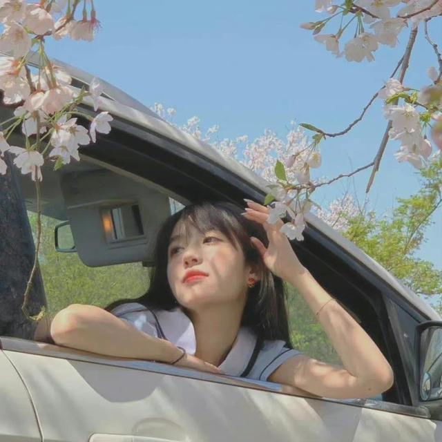 绿色小清新系列的qq女生头像  夏有森光暖无疑微信，绿色小清新系列的qq女生头像  夏有森光暖无疑（女生头像：夏日清新绿色系头像）