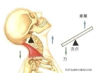 杠杆原理是什么，杠杆原理是什么生肖（小精灵科学室，什么是杠杆原理）